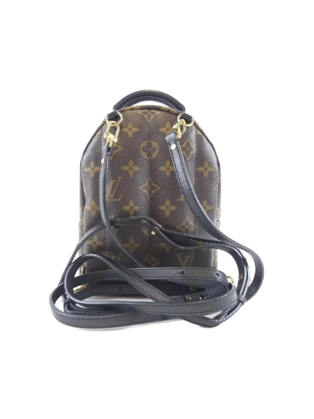 Louis Vuitton Monogram World Tour Palm Springs Backpack